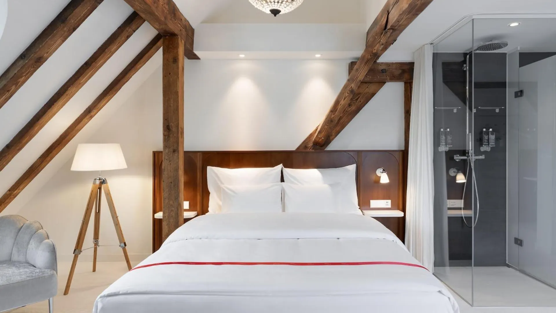 Ruby Mimi Hotel ציריך